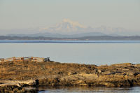 Photo-Cattle-Point-35-Victoria-B.C-2011-09-03-Simply-the-Majestic-Mt-Baker-from-Cattle-Point