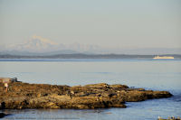 Photo-Cattle-Point-37-Victoria-B.C-2011-09-03-Mt-Baker-and-Cruise-Ship-from-Cattle-Point