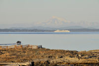 Photo-Cattle-Point-38-Victoria-B.C-2011-09-03-Mt-Baker-and-Cruise-Ship-from-Cattle-Point