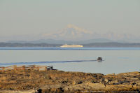 Photo-Cattle-Point-39-Victoria-B.C-2011-09-03-Mt-Baker-and-Cruise-Ship-from-Cattle-Point