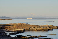 Photo-Cattle-Point-40-Victoria-B.C-2011-09-03-Mt-Baker-and-Cruise-Ship-from-Cattle-Point