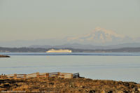 Photo-Cattle-Point-41-Victoria-B.C-2011-09-03-Mt-Baker-and-Cruise-Ship-from-Cattle-Point