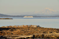 Photo-Cattle-Point-42-Victoria-B.C-2011-09-03-Mt-Baker-and-Cruise-Ship-from-Cattle-Point