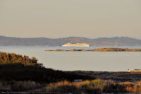 Photo-Cattle-Point-44-Victoria-B.C-2011-09-03-Cruise-Ship-from-Cattle-Point