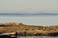 Photo-Cattle-Point-45-Victoria-B.C-2011-09-03-Simply-the-Majestic-Mt-Baker-from-Cattle-Point