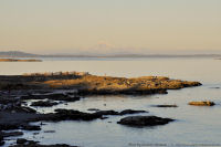 Photo-Cattle-Point-47-Victoria-B.C-2011-09-03-Lovers-and-Mt-Baker-from-Cattle-Point-at-sunset