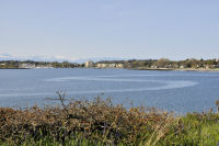 Photo-Cattle-Point-50-View-of-Oak-Bay-Marina-and-Part-of-Willow-Beach-2012-05-06