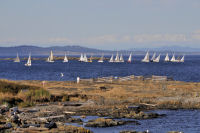 Photo-Cattle-Point-56-Sailboats-at-Cattle-Point-2012-08-22
