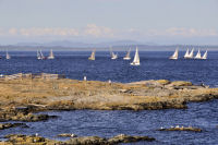 Photo-Cattle-Point-57-Sailboats-at-Cattle-Point-2012-08-22