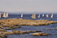 Photo-Cattle-Point-59-Sailboats-at-Cattle-Point-2012-08-22