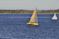 Photo-Cattle-Point-60-Sailboats-at-Cattle-Point-2012-08-22