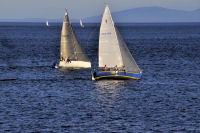Photo-Cattle-Point-65-Sailboats-at-Cattle-Point-2012-08-22