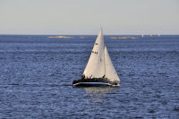 Photo-Cattle-Point-68-Sailboats-at-Cattle-Point-2012-08-22