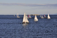 Photo-Cattle-Point-69-Sailboats-at-Cattle-Point-2012-08-22