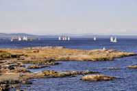 Photo-Cattle-Point-71-Sailboats-at-Cattle-Point-2012-08-22