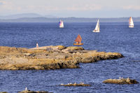 Photo-Cattle-Point-72-Sailboats-at-Cattle-Point-2012-08-22