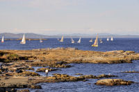 Photo-Cattle-Point-74-Sailboats-at-Cattle-Point-2012-08-22
