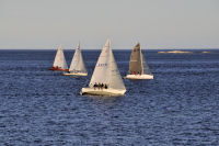 Photo-Cattle-Point-76-Sailboats-at-Cattle-Point-2012-08-22