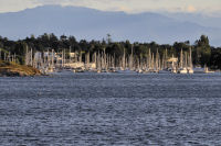 Photo-Cattle-Point-77-View-of-Oak-Bay-Marina-from-Cattle-Point-2012-08-22