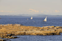 Photo-Cattle-Point-79-Sailboats-at-Cattle-Point-2012-08-22