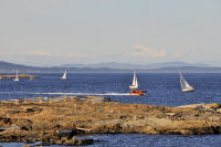 Photo-Cattle-Point-80-Sailboats-at-Cattle-Point-2012-08-22