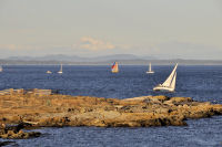 Photo-Cattle-Point-85-Sailboats-at-Cattle-Point-2012-08-22