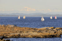Photo-Cattle-Point-86-Sailboats-at-Cattle-Point-2012-08-22