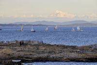 Photo-Cattle-Point-87-Sailboats-at-Cattle-Point-2012-08-22