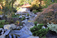 Photo-Esquimalt-Gorge-Park-46-2011-10-18-Upper-Creek-view