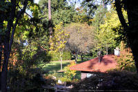 Photo-Esquimalt-Gorge-Park-51-2011-10-18-Another-interesting-view-from-the-top