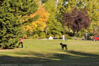 Photo-Esquimalt-Gorge-Park-61-2011-10-18-Playing-in-the-Park