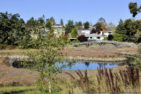 Photo-Esquimalt-Gorge-Park-64-2011-10-18-Small-Creek-South-West-of-the-Park