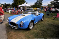Photo-European-and-Classic-43-cars-1966-Cobra-Replica-Owner-Williie-2011-08-21
