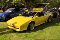 Photo-European-and-Classic-60-cars-1978-Lotus-Esprit-2011-08-21