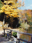 Photo-Gatineau-108-1996-Trail-to-Meach-Lake-Parc-de-la-Gatineau