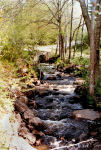 Photo-Gatineau-97-1994-Small-stream-near-CHELSEA-Parc-de-la-Gatineau