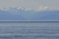 Ogden-Point-112-and-Boats-Sailboat-Far Away at Maximum Zoom-(200mm)-2012-08-09