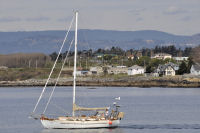 Ogden-Point-21-and-Boats-Sailboat-Tayana-2012-04-22