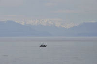 Ogden-Point-52-and-Boats-Fishing-in-Paradise-Camera-at-Full-Zoom-2012-04-23