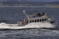 Ogden-Point-62-and-Boats-Five-Star-Supercat-2012-07-27