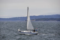 Ogden-Point-72-and-Boats-Setting-Sails-2012-07-27