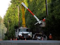 Photo-Rain-Forest-4-Trail-A-2009-01-14-54-Hydro-Working-Nearby-ZOOMED-Ucluelet,B.C
