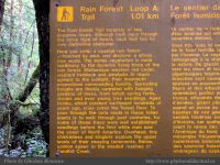 Photo-Rain-Forest-8-Trail-A-2009-01-14-59-Ucluelet,B.C