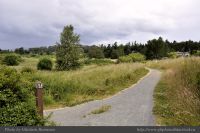 Photo-SWAN-Lake-101-View-from-the-Trail-2014-06-16