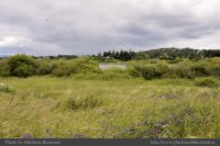 Photo-SWAN-Lake-104-View-from-the-Trail-2014-06-16