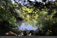 Photo-SWAN-Lake-32-SWAN-LAKE-Trail-2014-06-05