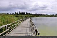 Photo-SWAN-Lake-62-Floating-Bridge-2014-06-16