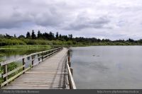 Photo-SWAN-Lake-63-Floating-Bridge-2014-06-16