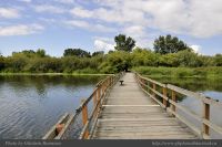 Photo-SWAN-Lake-69-Floating-Bridge-2014-06-16
