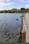 Photo-SWAN-Lake-70-Floating-Bridge-2014-06-16